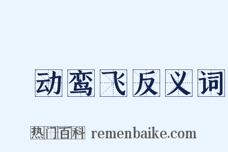 鹓动鸾飞反义词是什么意思的图片